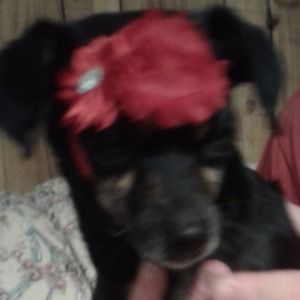 Meet your Posher, Jo ann